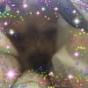 Meet your Posher, Minty